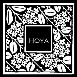 HOYA